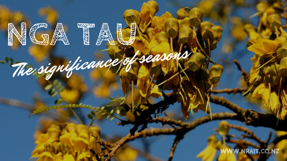 The seasons