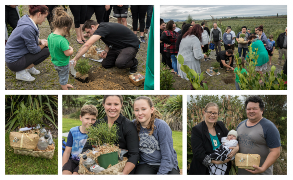 Whenua Planting