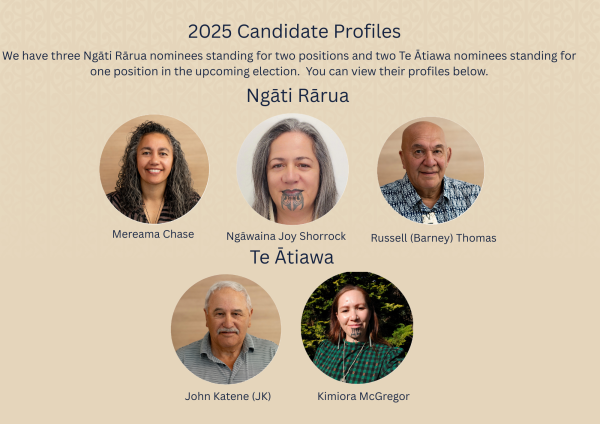 Candidate Profile Summary