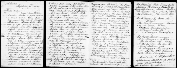 Hohaias letter